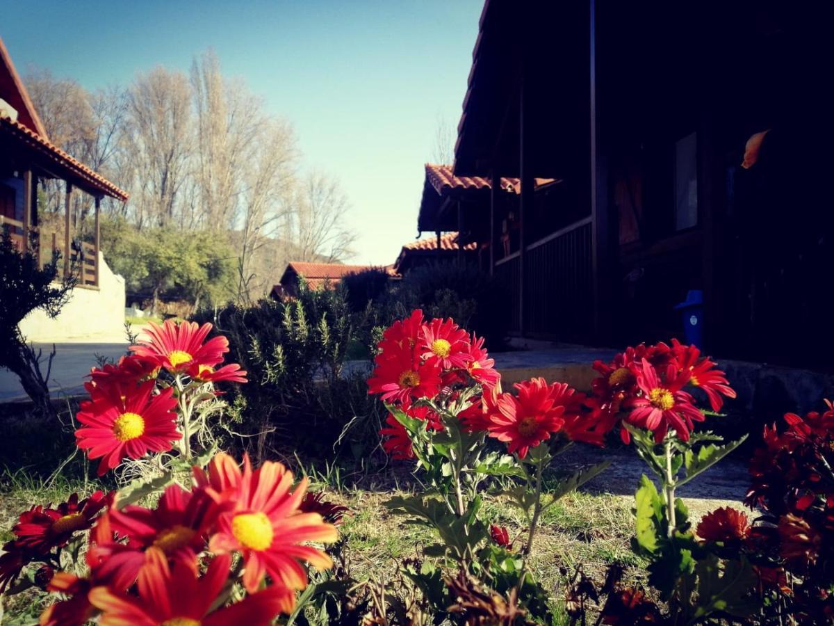 El Venero De Mostoles Константина Екстериор снимка